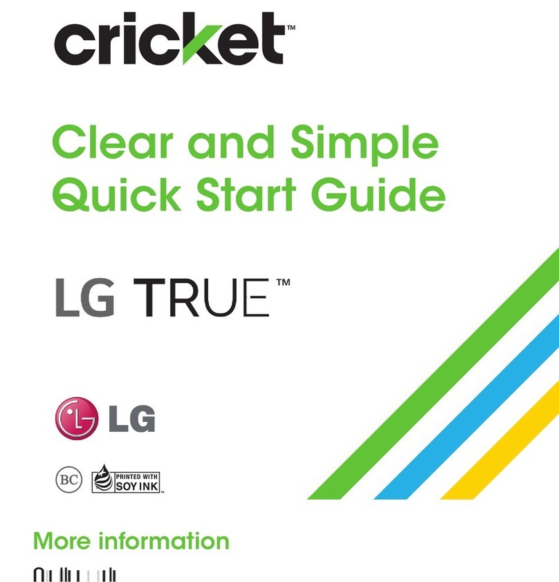 LG True User manual