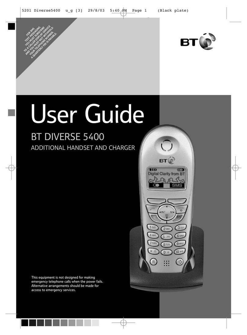 BT DIVERSE 5400 User manual