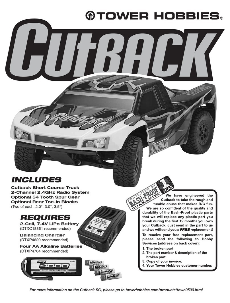 Tower Hobbies Cutback manual