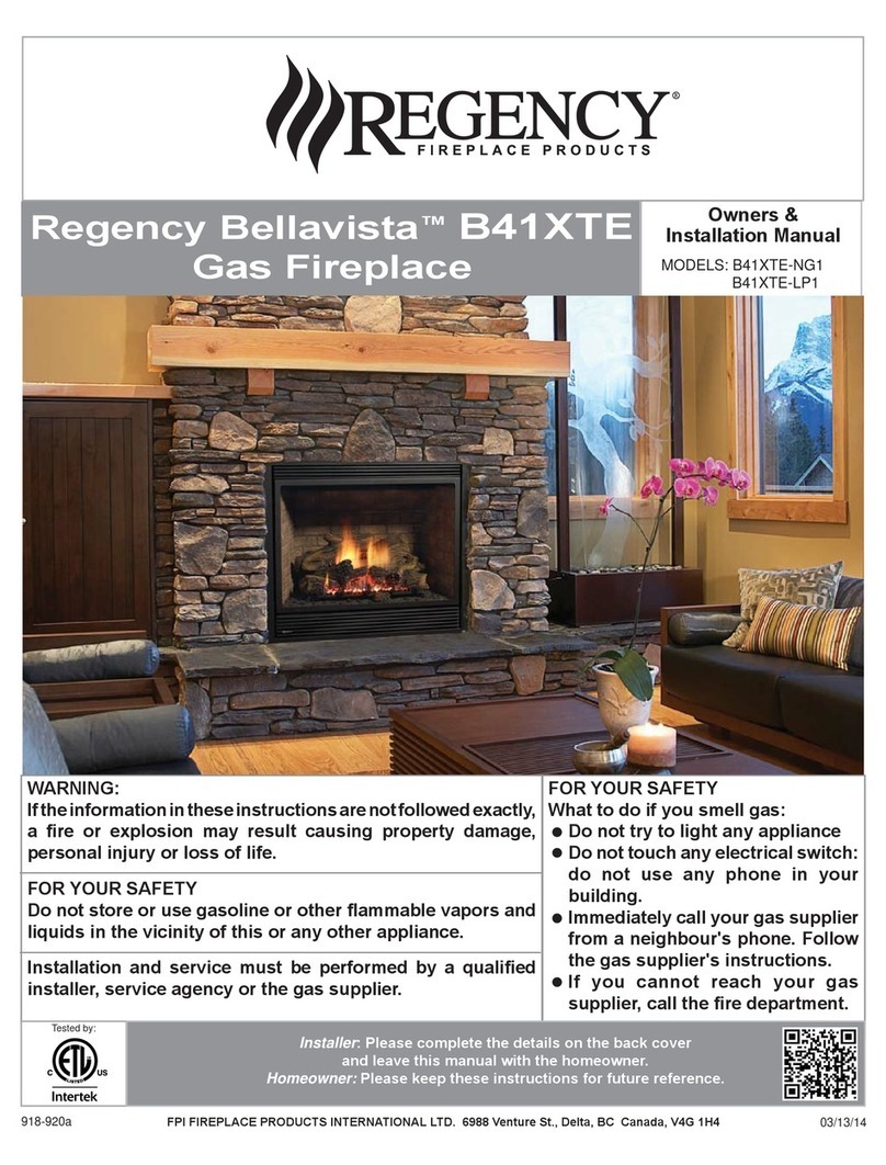 Regency Fireplace Products B41XTE-NG1 Owners and installation manual
