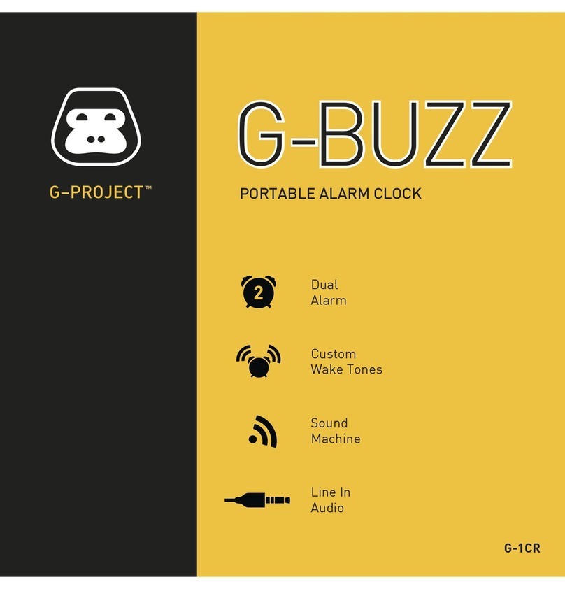 G-project G-BUZZ user manual