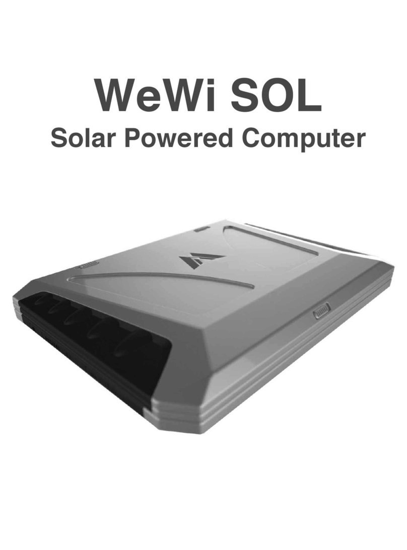 WeWi DBR1-Y owner's manual
