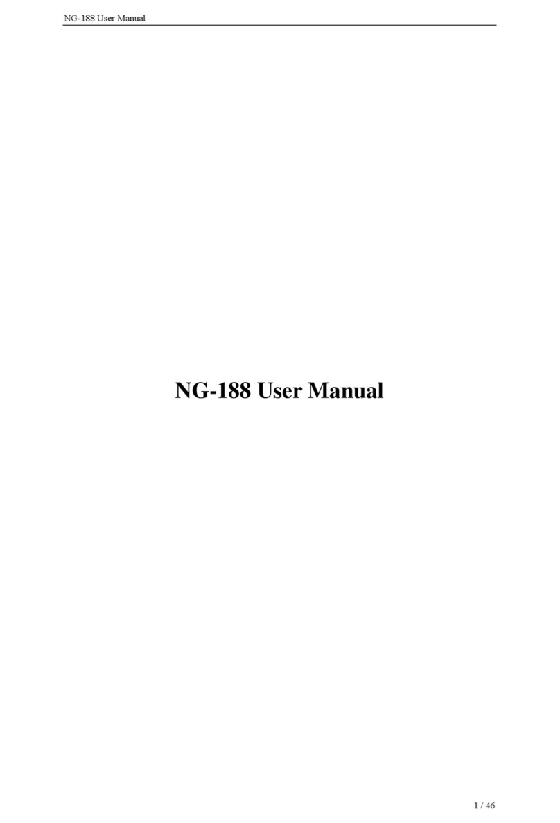 Netphonic NG-188 user manual