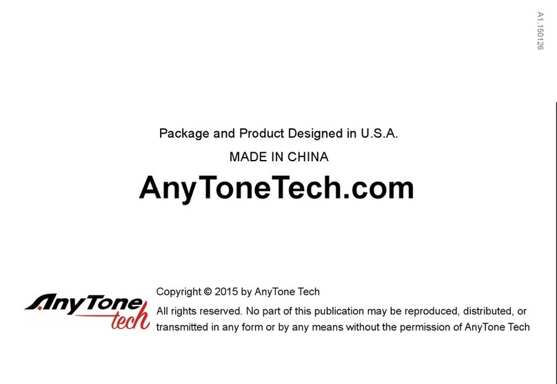 AnyTone NSTIG-8R user manual