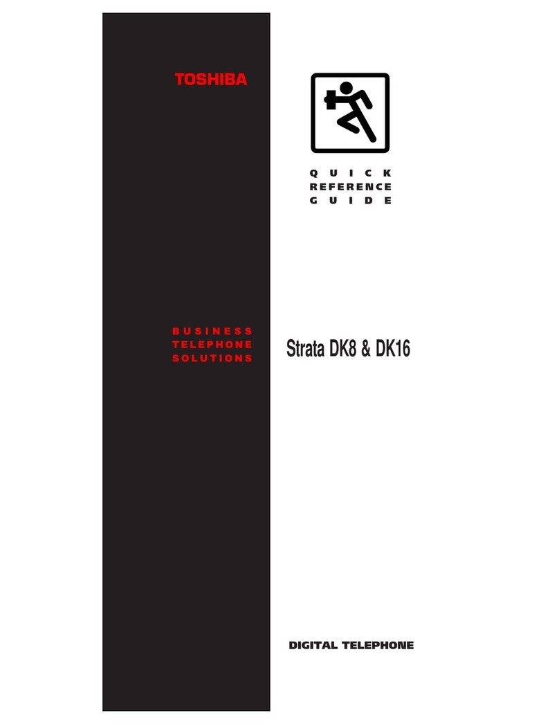 Toshiba Strata DK8 User manual