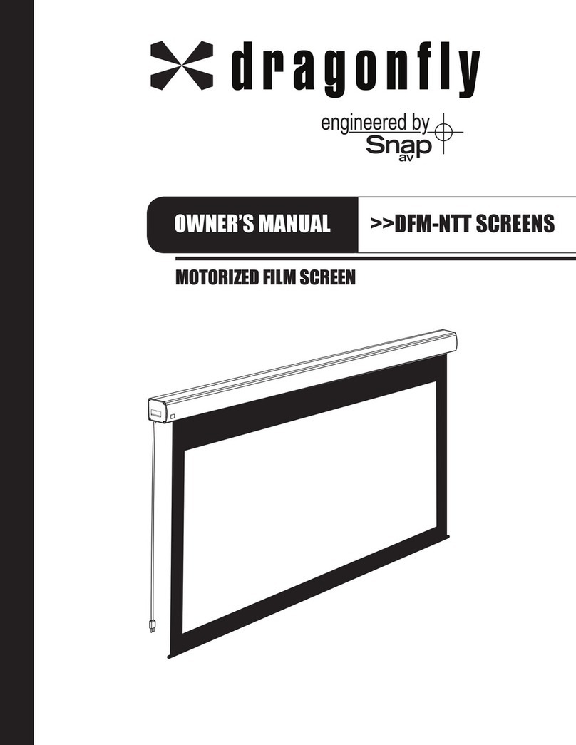Dragonfly DFM-NTT owner's manual