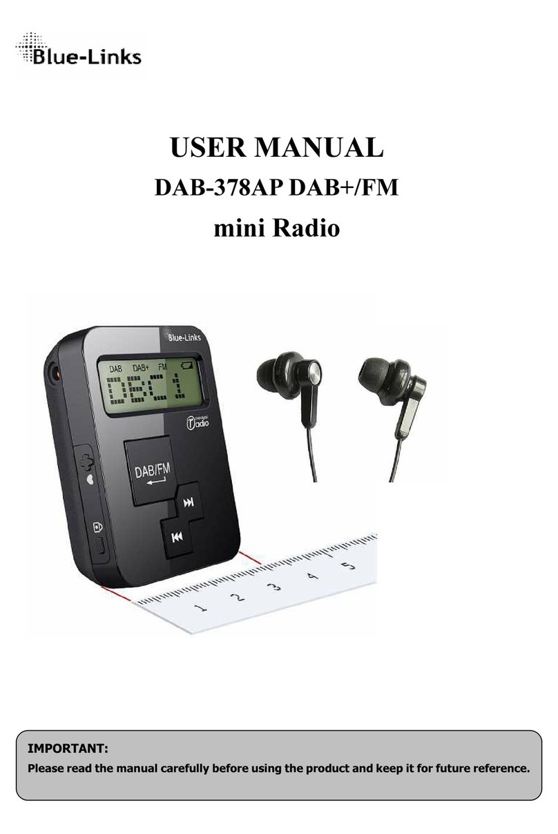 Blue-Links DAB-378AP user manual