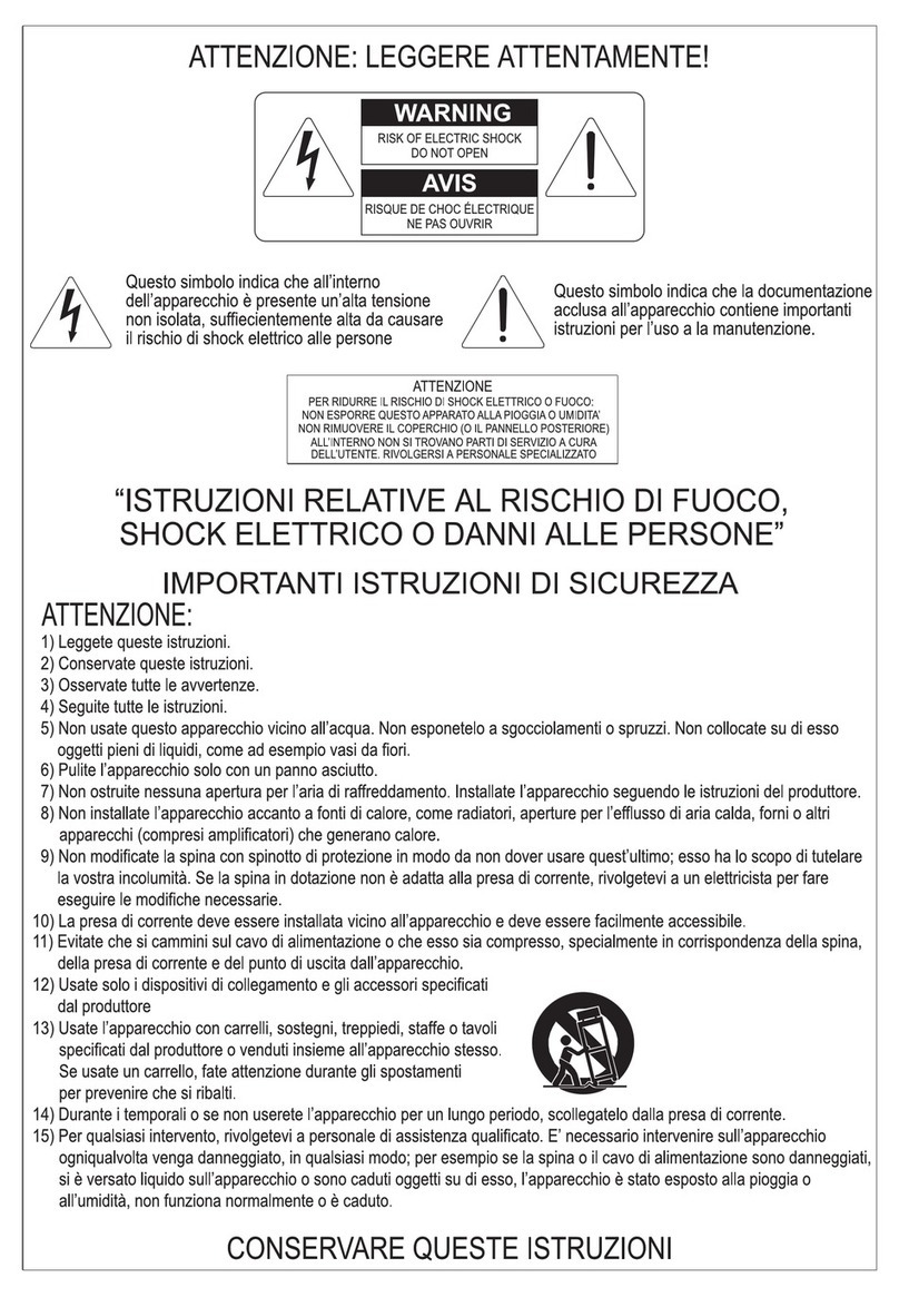 Viscount CM-100 user guide