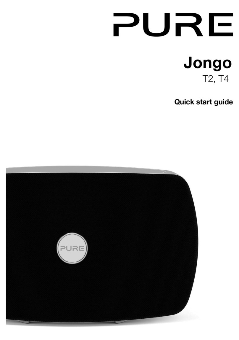 PURE Jongo T2 User manual