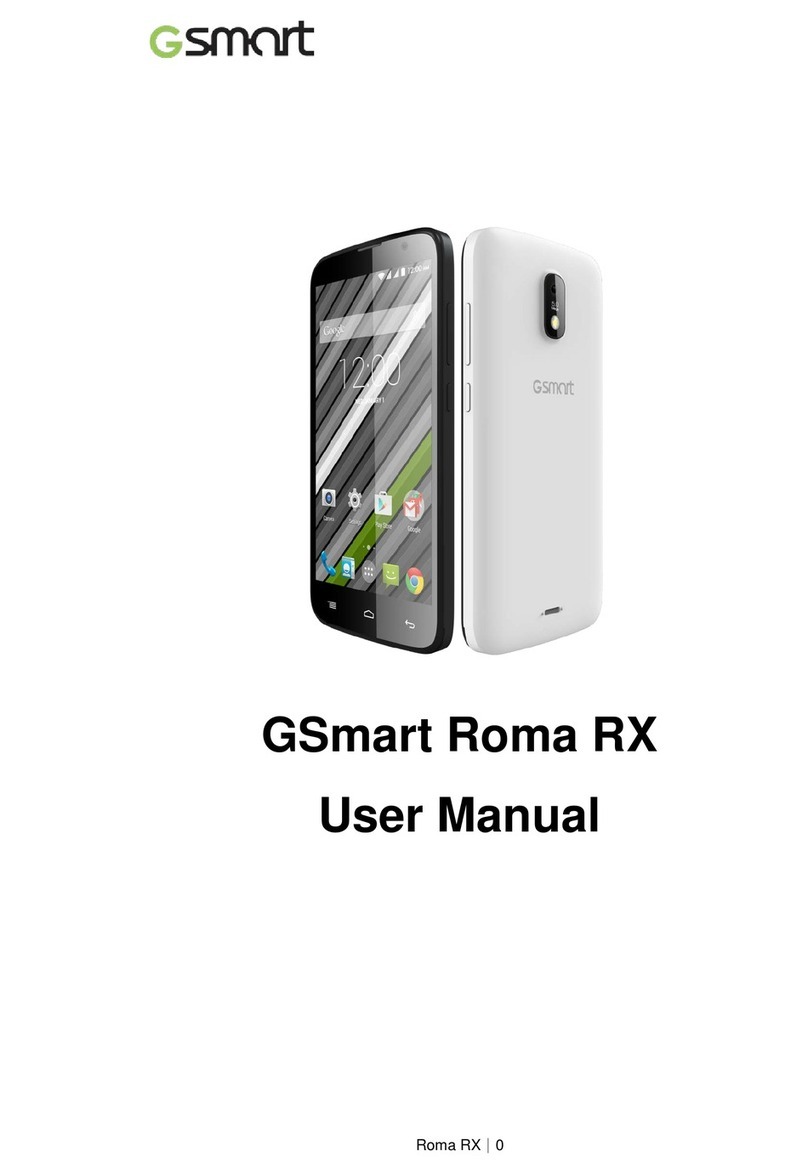 Giga-Byte Communications GSmart Roma RX User manual