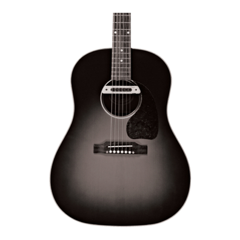 L.R. Baggs M80 user guide