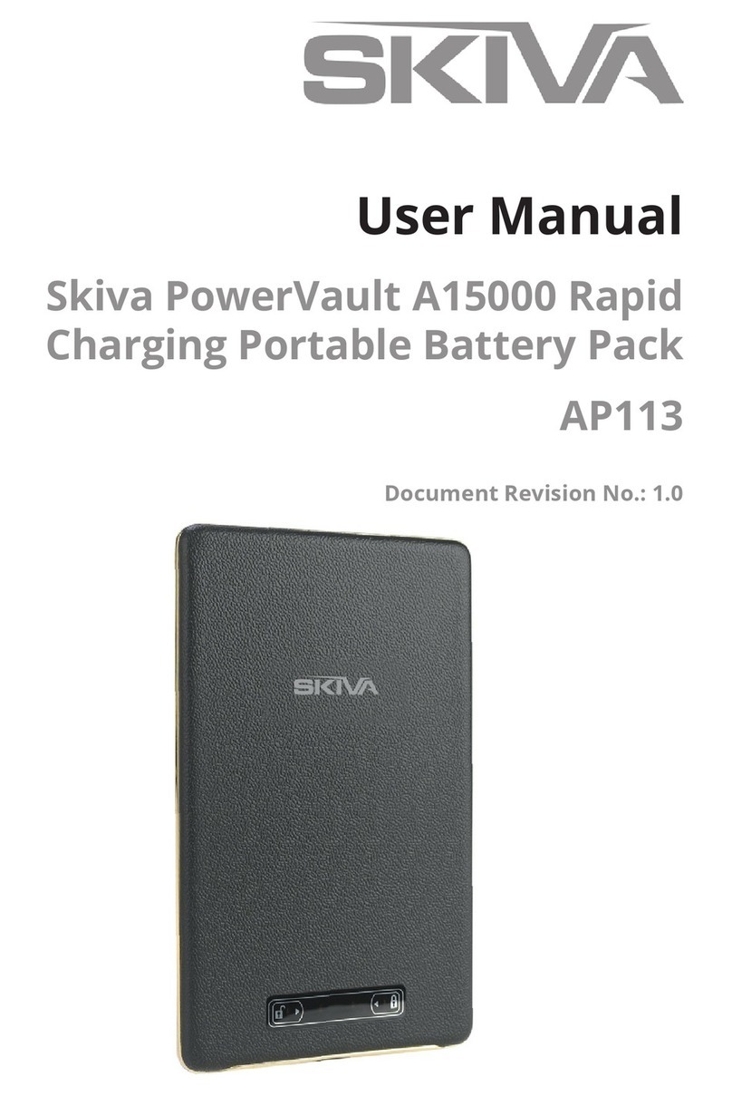Skiva AP113 user manual
