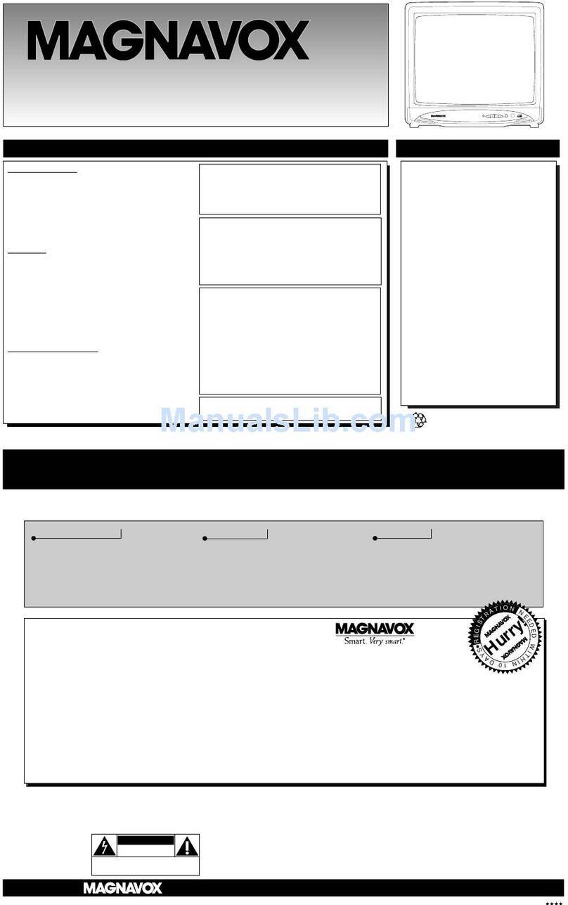 Magnavox MT1901B1 User manual