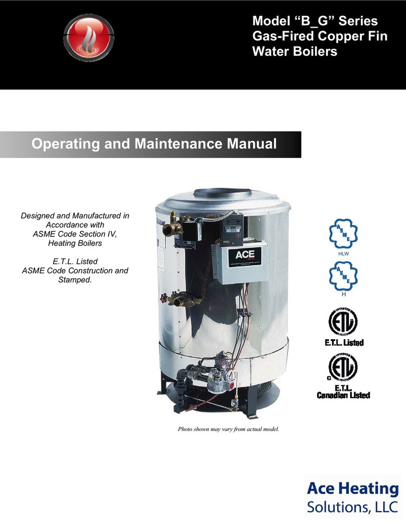 Ace Heating B Series Operating and maintenance manual