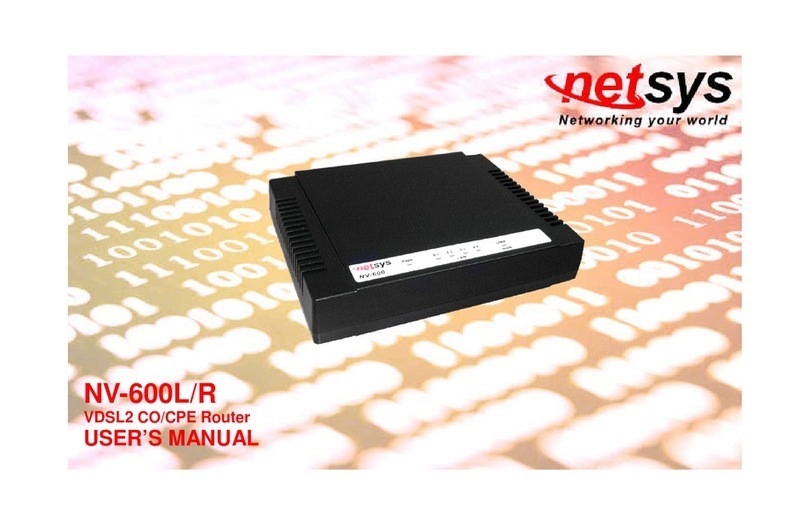 netsys NV-600L/R user manual