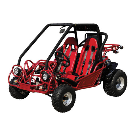 Go Kart 250FW User manual