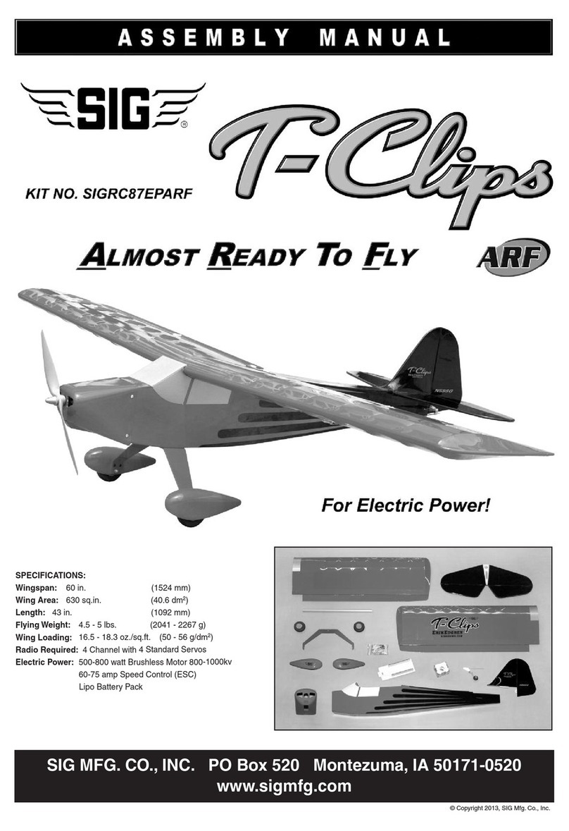 SIG T-Clips EP ARF User manual