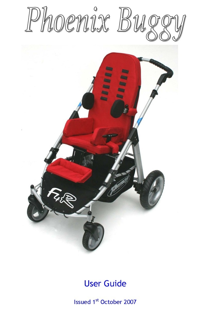 Activate Phoenix Buggy user guide