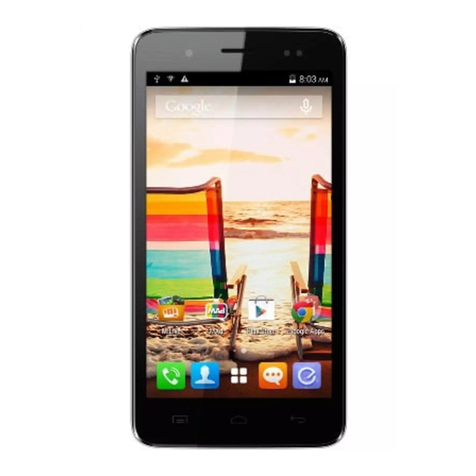 Micromax A069 User manual