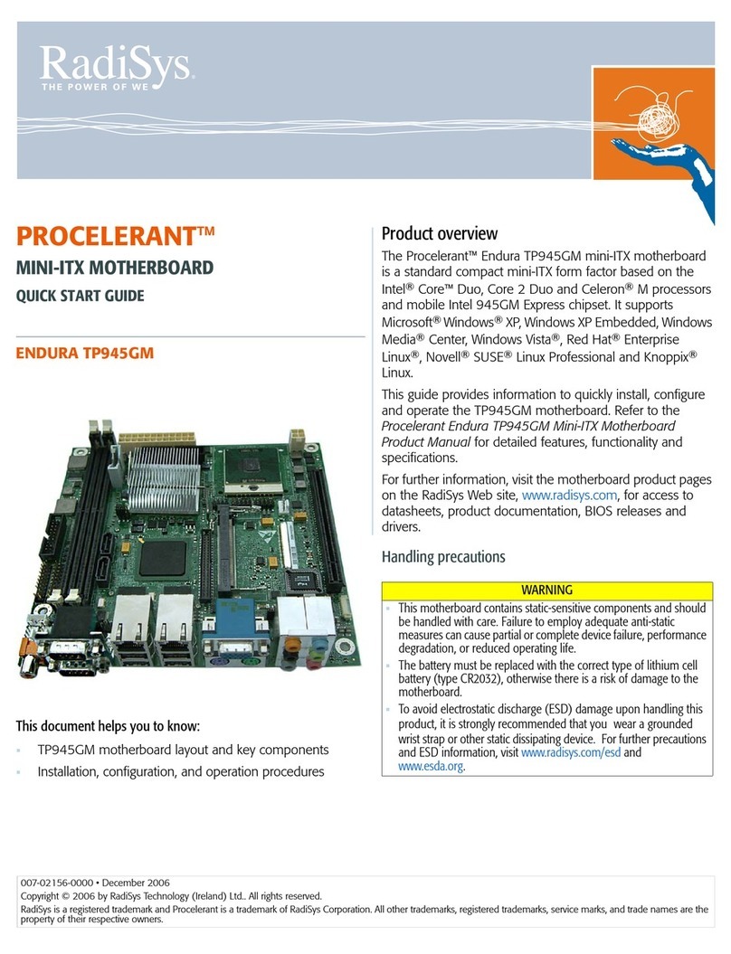 RadiSys ENDURA TP945GM User manual