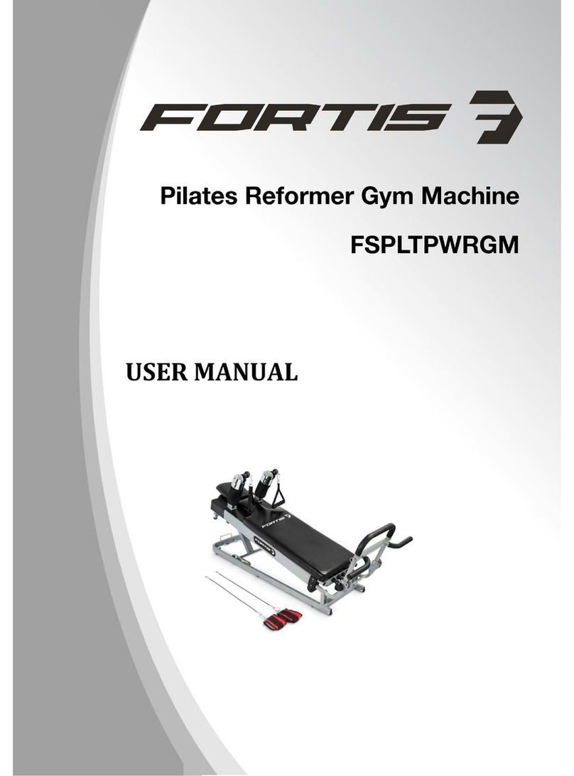 Fortis FSPLTPWRGM user manual
