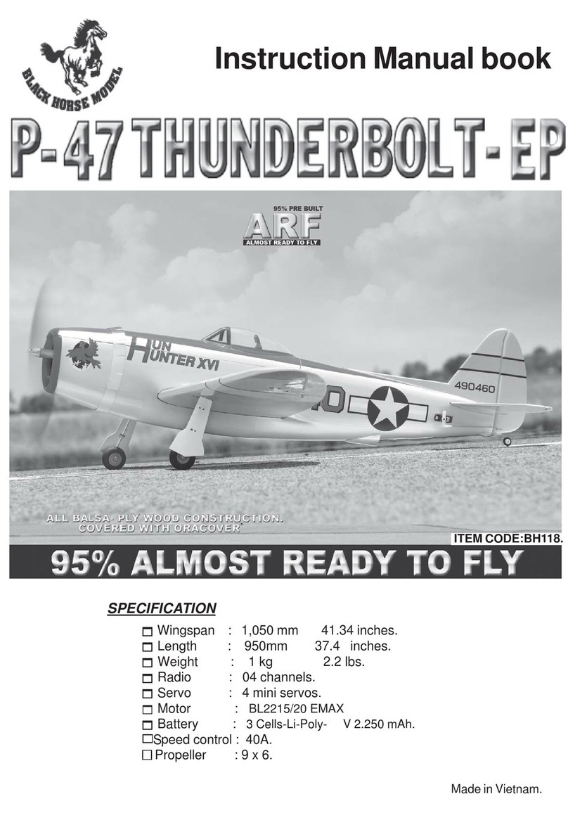 Black Horse Model P- 47 THUNDERBOLT- EP Owner's manual