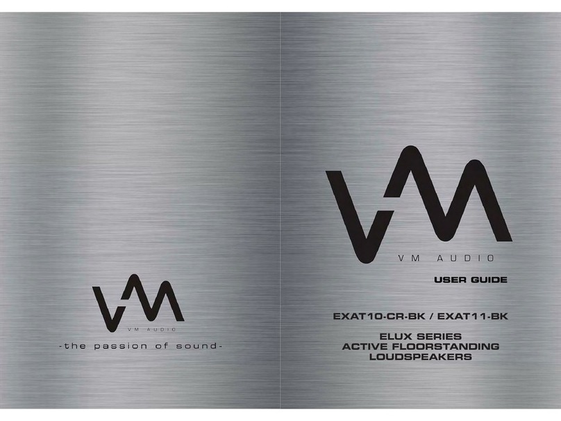 VM Audio FLUX EXAT10-CR-BK user guide VM Audio FLUX EXAT10-CR-BK user guide
