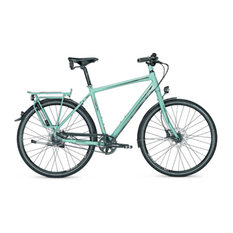 Raleigh Pedelec Impulse Original manual