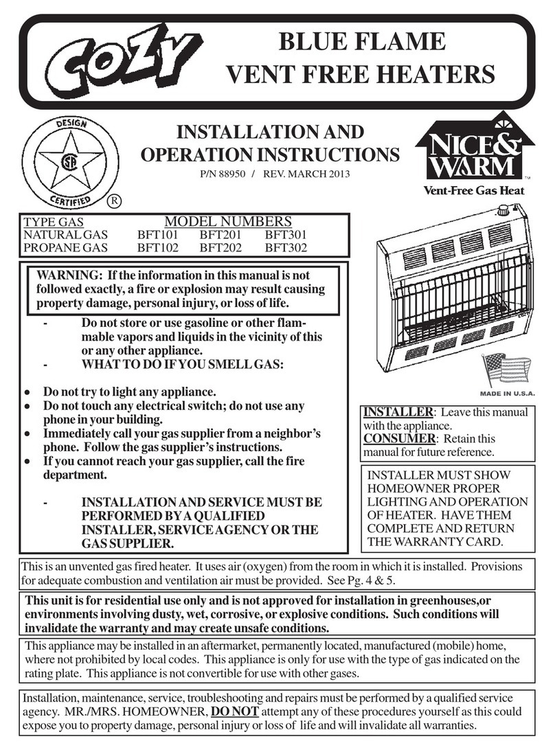 COZY BFT101 and User manual