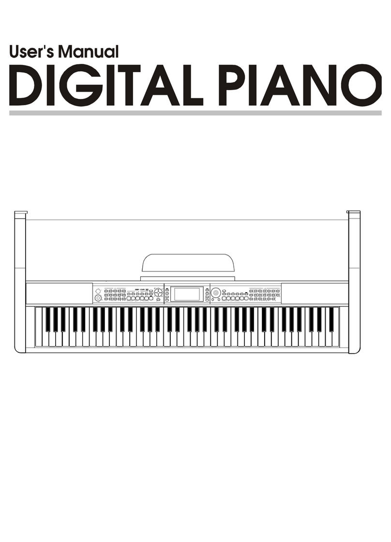 Medeli DP-600 user manual