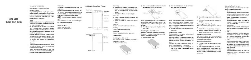 Zte V969 DUAL SIM User manual