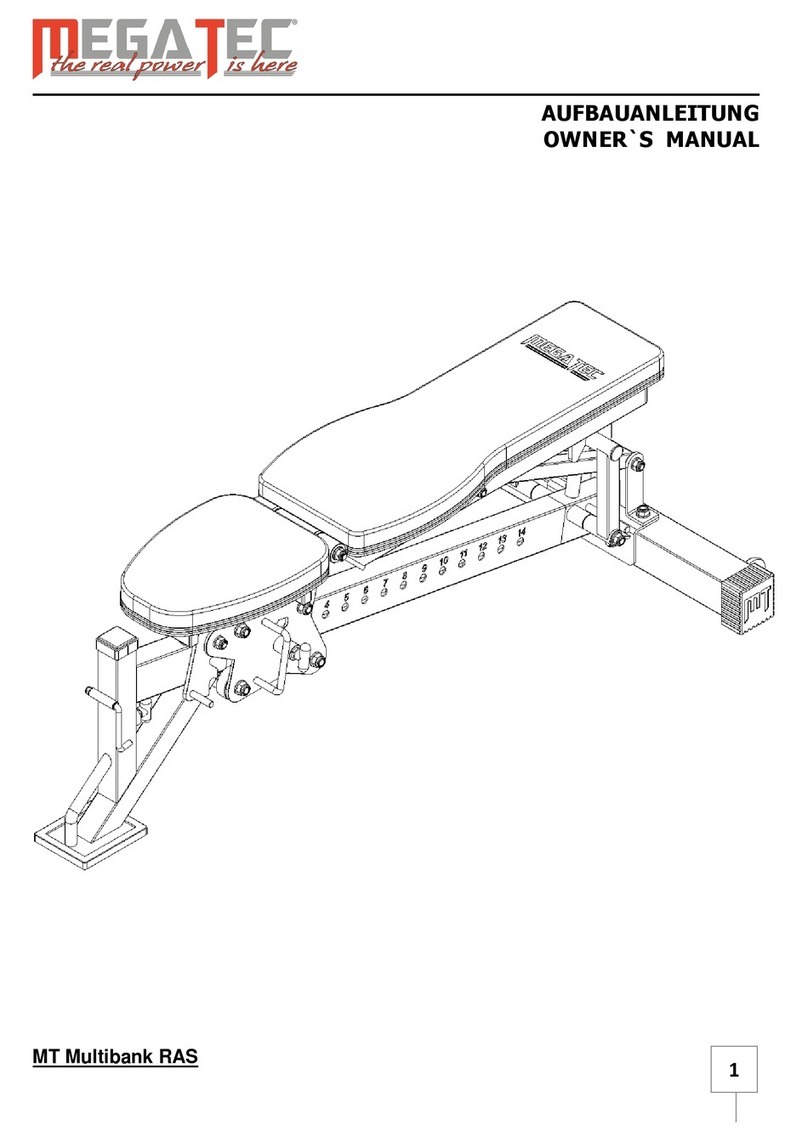 MegaTec MT Multibank RAS owner's manual