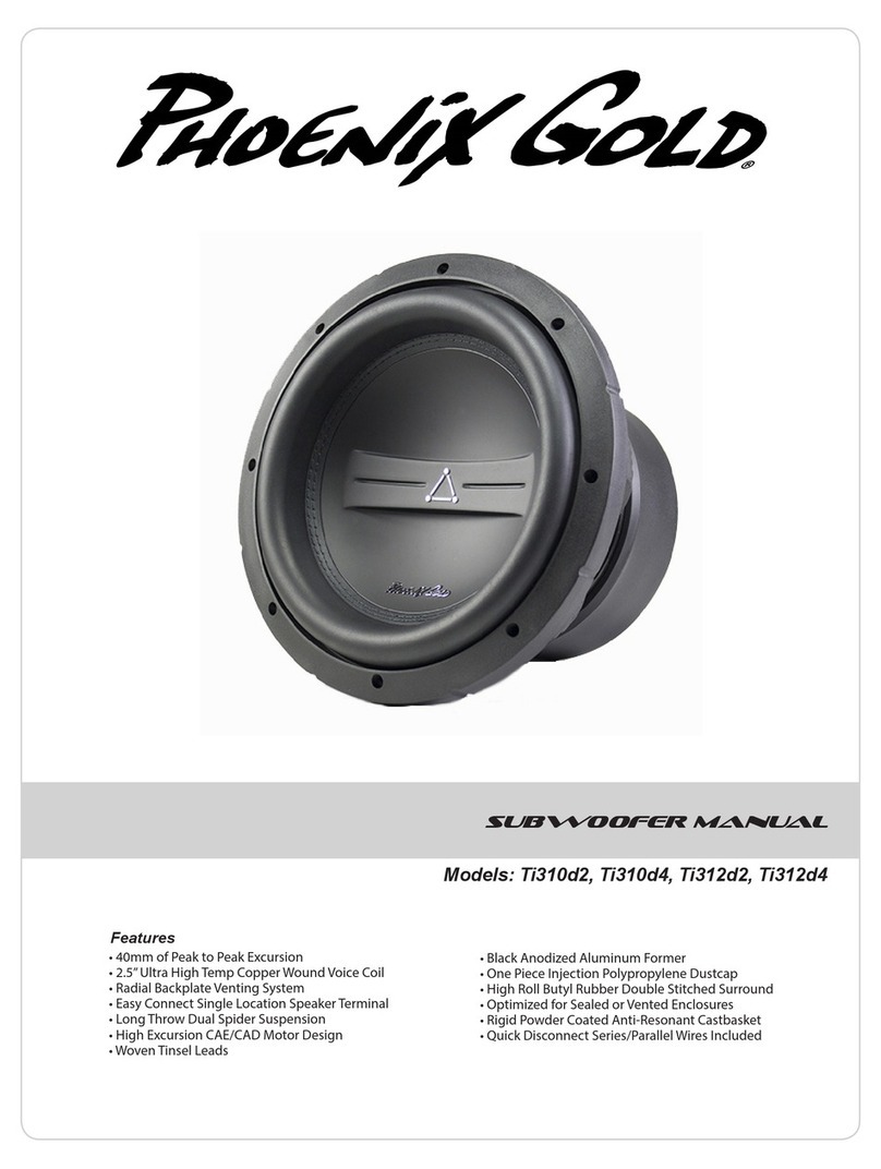 Phoenix Gold Ti310d2 User manual