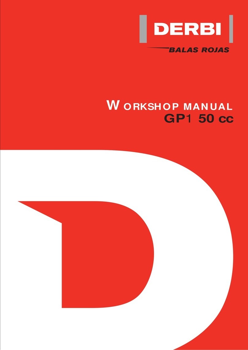 Derbi GP1 50 cc Workshop manual