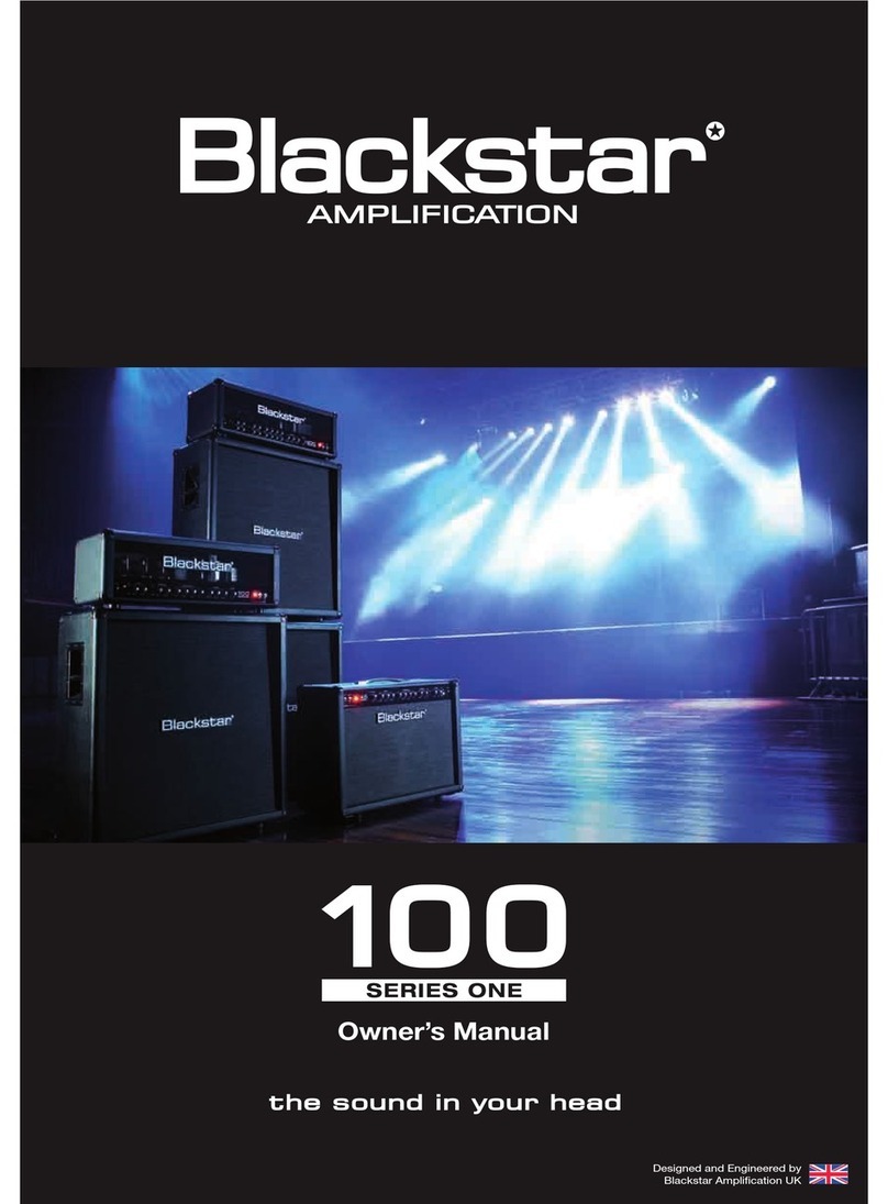 BLACK STAR S1-100 owner's manual