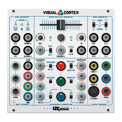 LZX Visual Cortex Technical manual