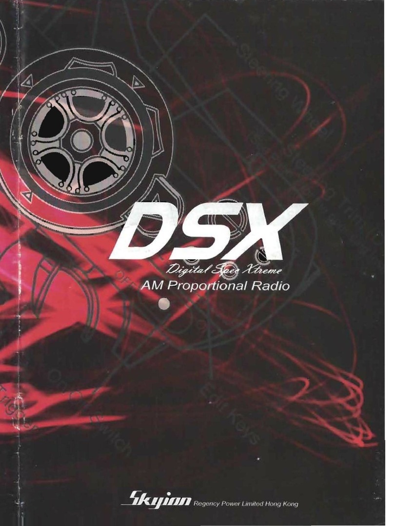 Skyion DSX instruction manual