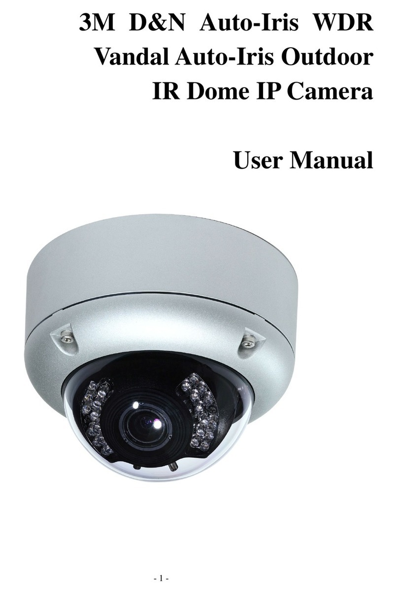 iVigil IP6D31 user manual