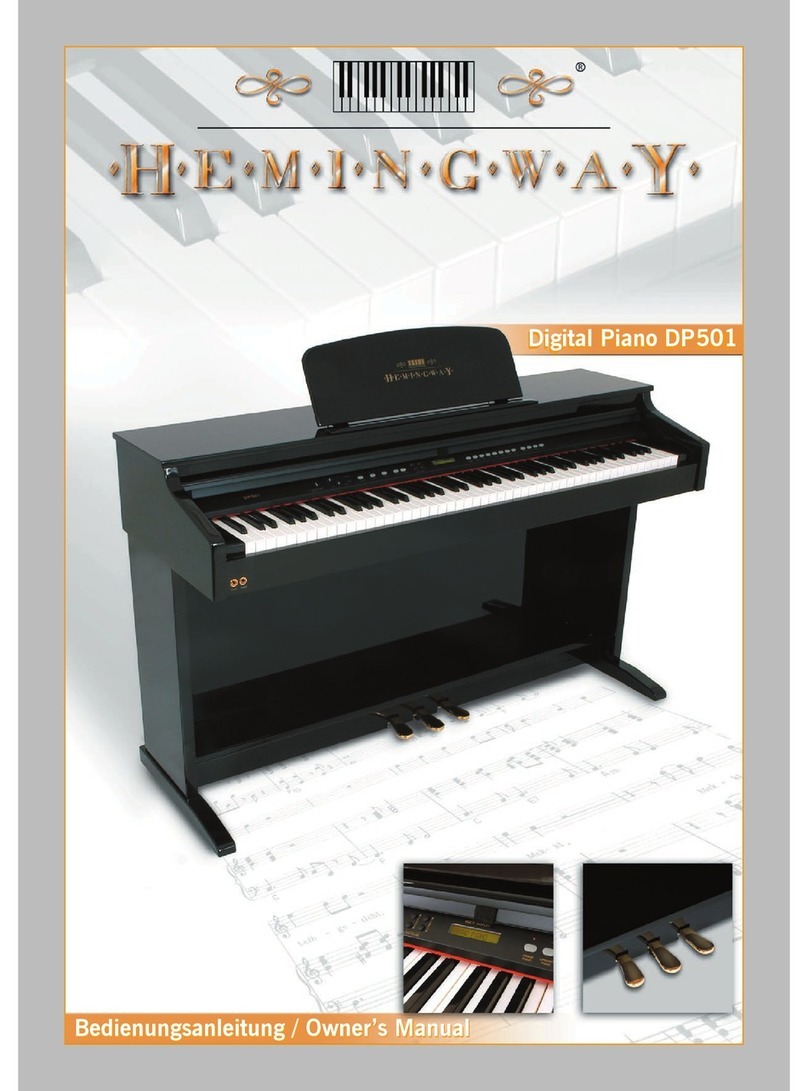 Hemingway DP501 owner's manual