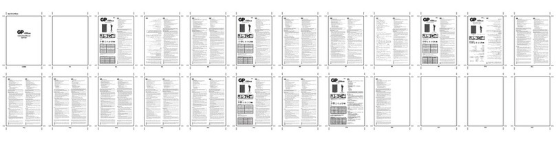 GP GP781 User manual
