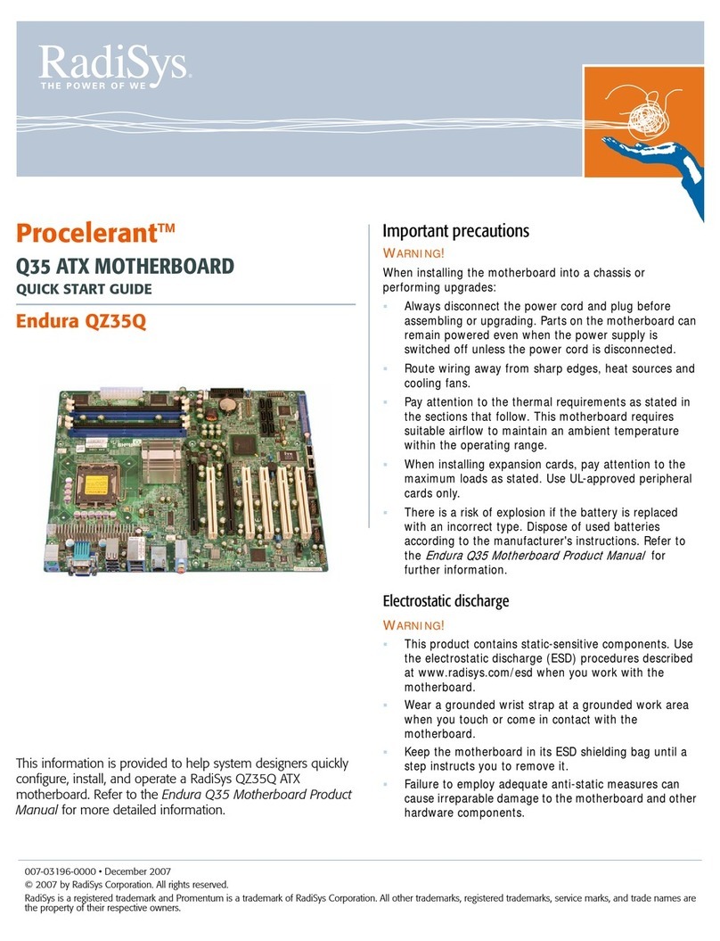 RadiSys Endura QZ35Q User manual