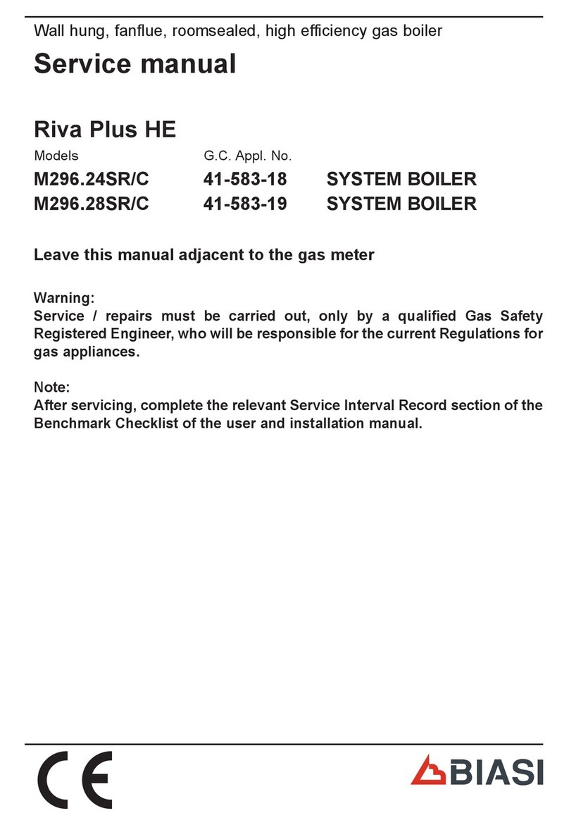 Biasi Riva Plus HE M296.24SR/C Service manual