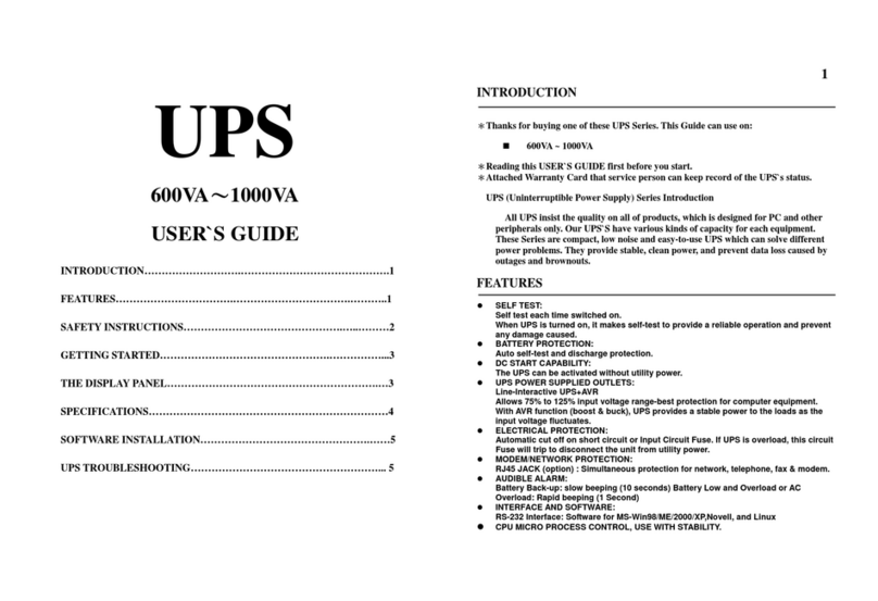 Trueful Electronics 600VA user guide