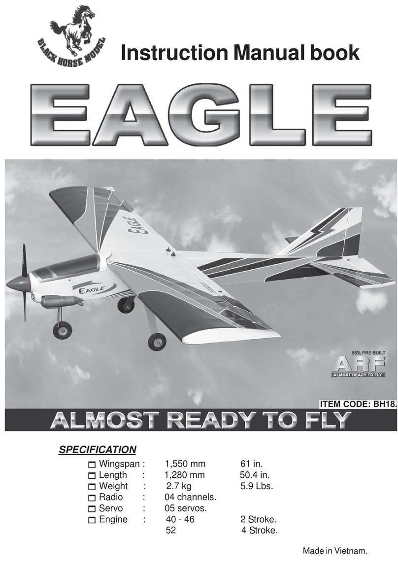 Black Horse Model EAGLE Instruction manual book
