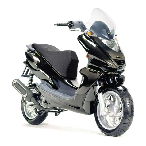 Eikon 125cc Workshop manual