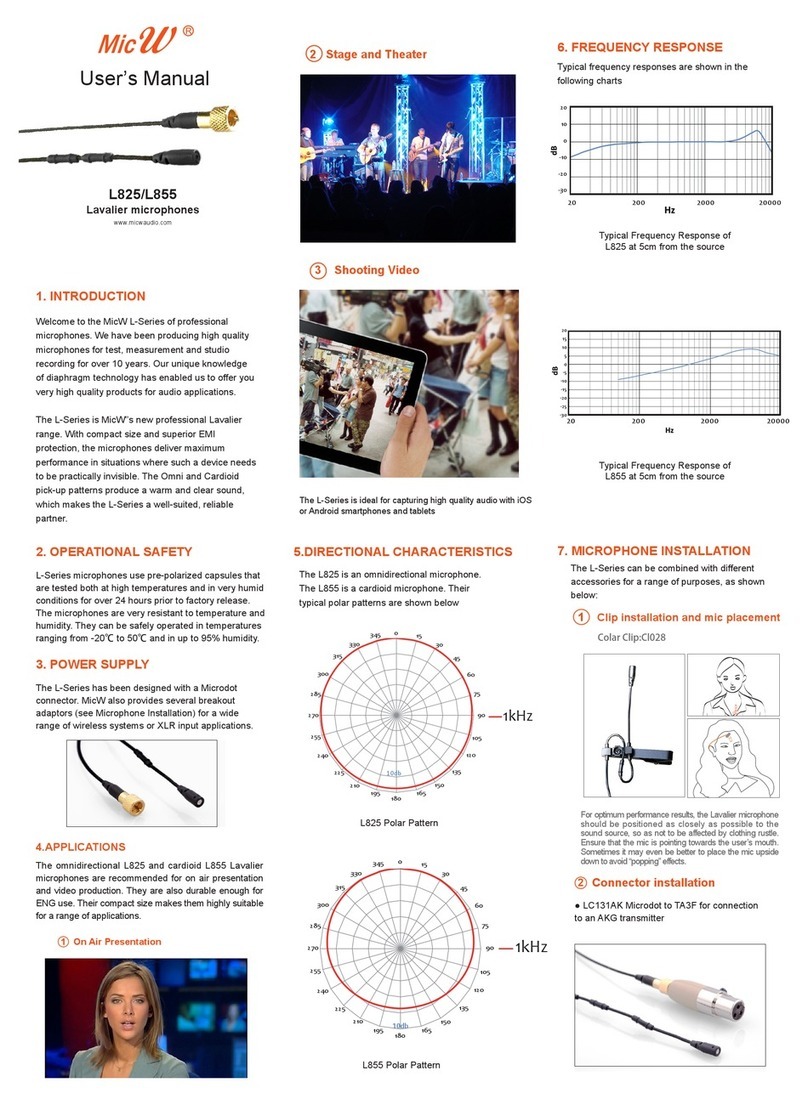 MicW Audio L825 User manual
