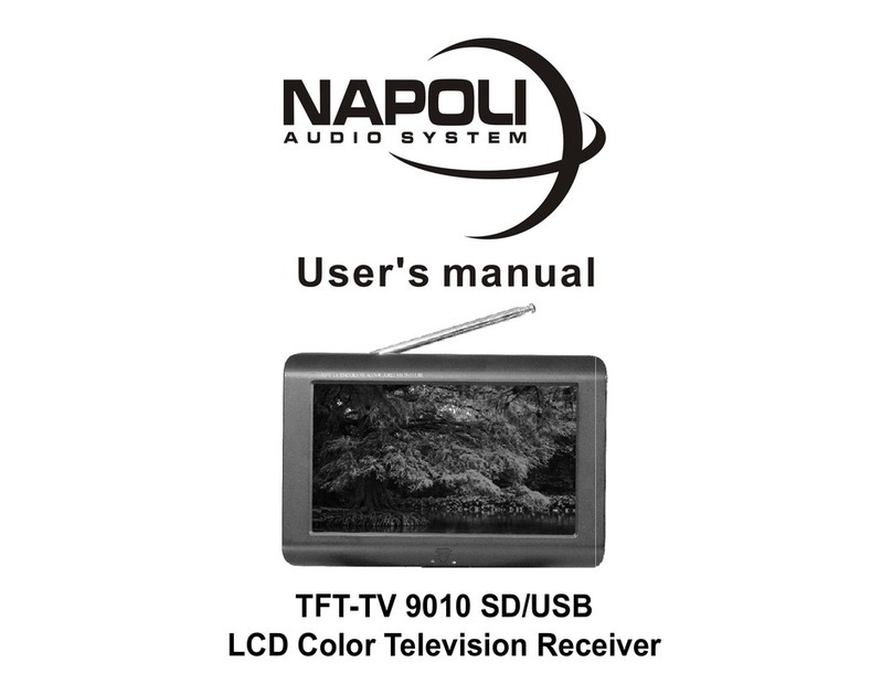 Napoli Audio TFT-TV 9010 SD/USB User manual