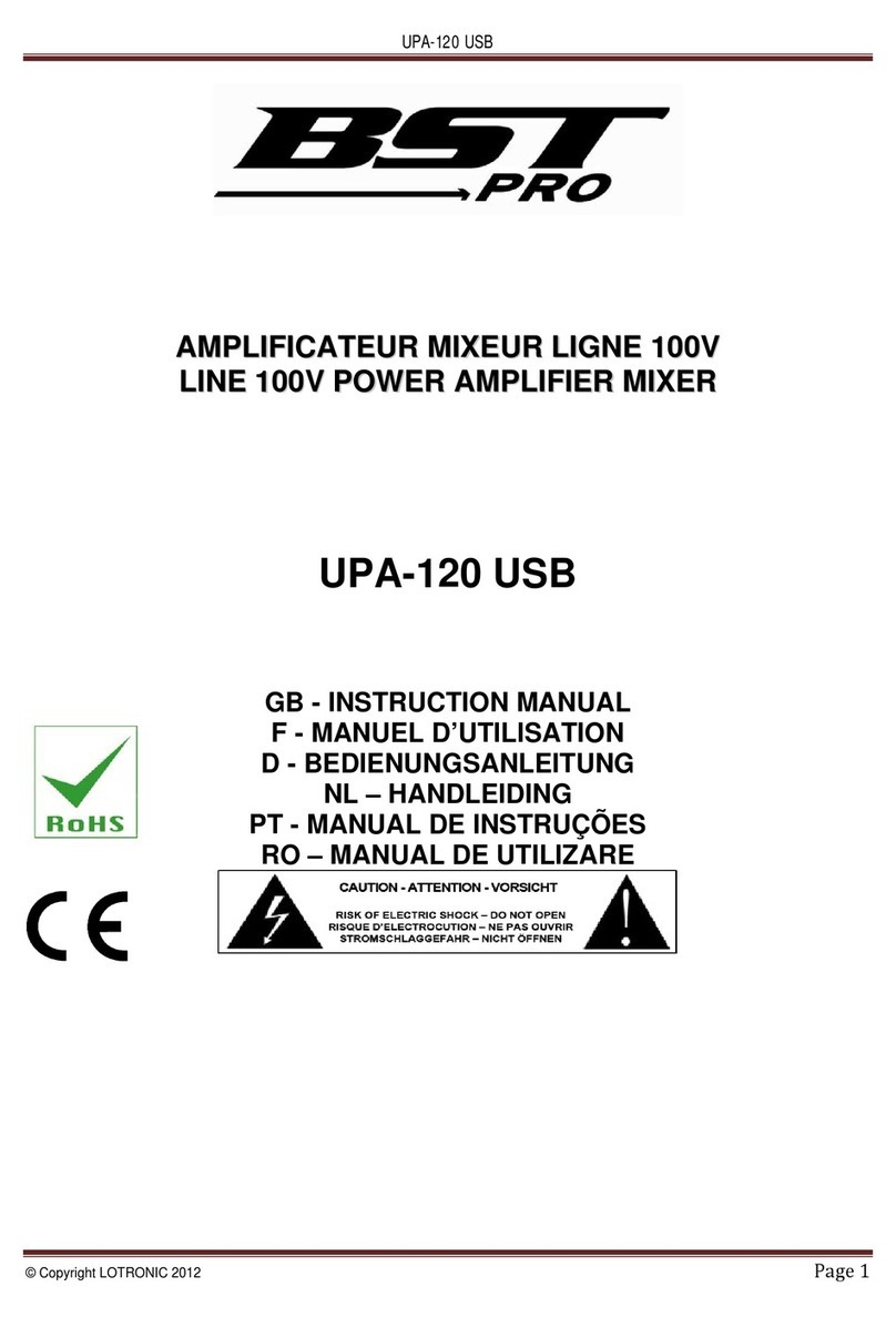 BST PRO UPA-120 USB User manual