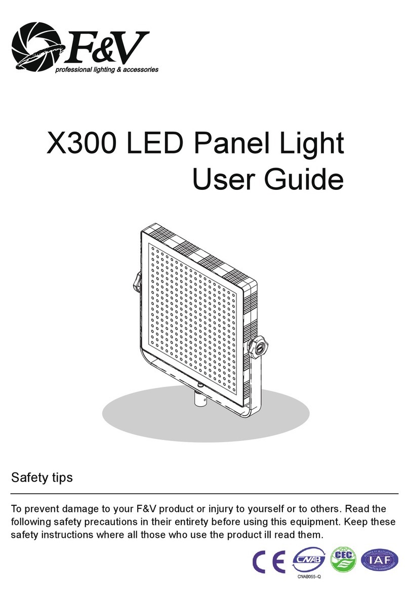 F&V X300 user guide