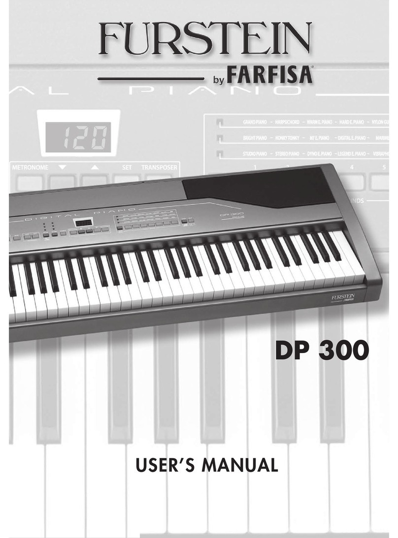 Furstein DP 300 User manual